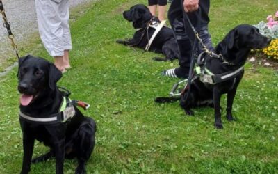 Näkövammaispalvelumme – herätyskristillistä materiaalia, tukea ja vertaistukea