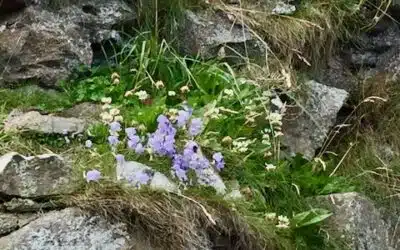 Juhlistamme Kristuksen voittoa pääsiäisaikana