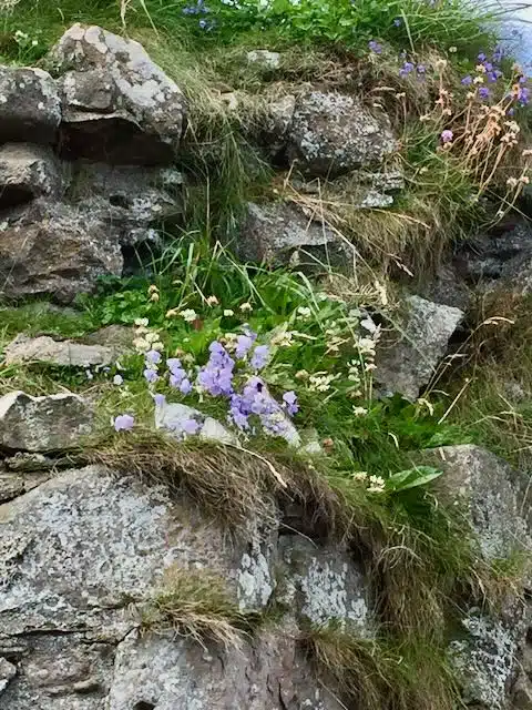 Juhlistamme Kristuksen voittoa pääsiäisaikana